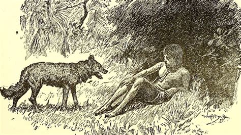 The Amazing Story Of Dina Sanichar The Boy Raised By Wolves
