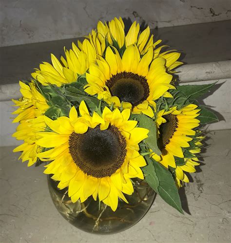 Miami beach flowers® is located in miami beach city of florida state. Sunshine Sunflowers in Miami Beach, FL | Seasons Flowers ...