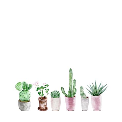 Succulent Aesthetic Desktop Wallpapers On Wallpaperdog