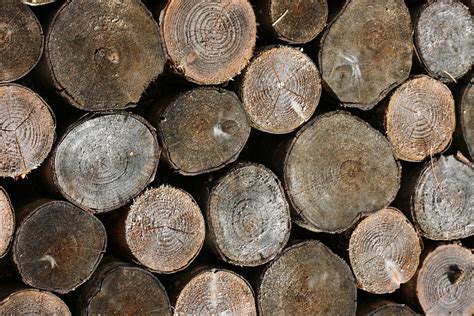 6 Hi Res Wood Textures High Resolution Textures