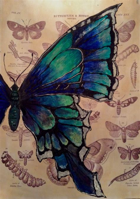 Mixed Media Butterfly Painting Butterfly Painting Painting Art