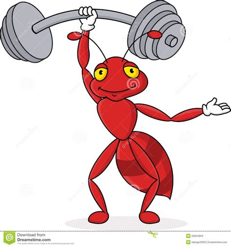 The reroll tier list or reroll target is based on the cbt version. Stockbilder: Strong ant. Bild: 26054904