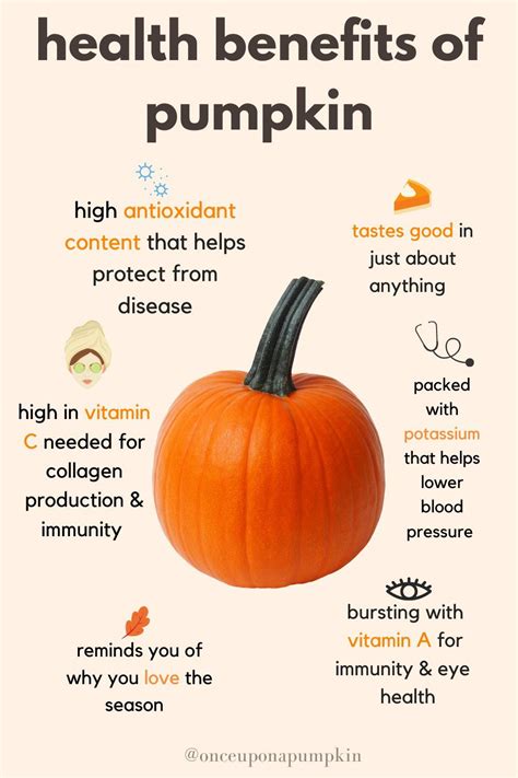 Learn More About The Health Benefits And Nutrition Of Pumpkin And Why