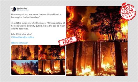 Old Images Peddled As Recent Forest Fire In Uttarakhand
