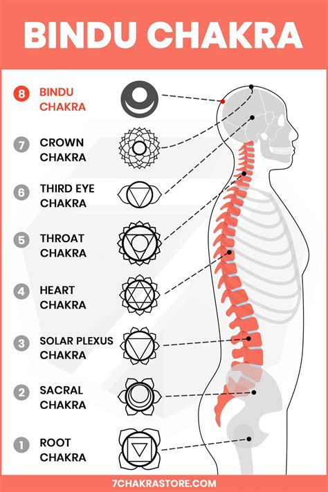 Bindu Chakra 8th Chakra Meaning Chakra Meanings Chakra For Beginners Chakra Mantra