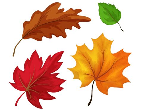 Fall Leaves Clipart Black And White Png Clipart World