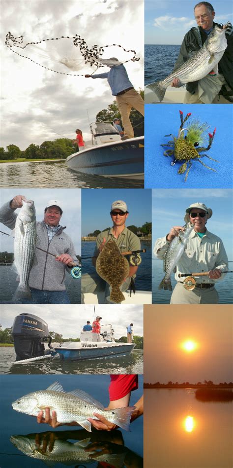 Chesapeake Bay Fly Fishing And Light Tackle Fishing Charter Fly Fish