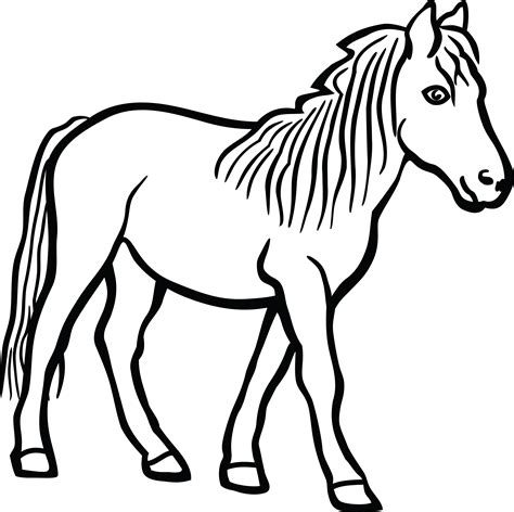 Horseblack And White Png Clipart