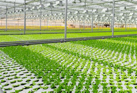We did not find results for: pH Up and Down | Emerald Harvest