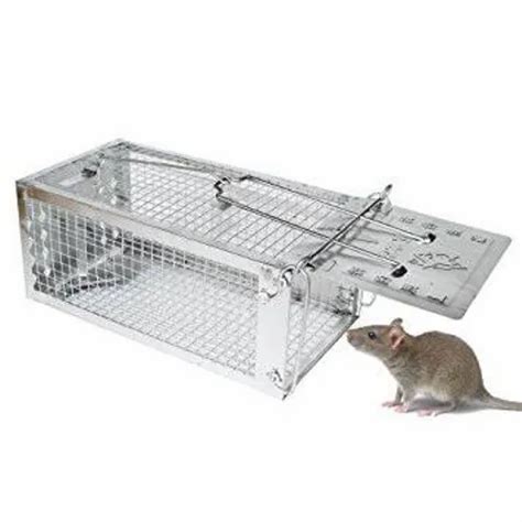 Stainless Steel Mouse Trap Cage At Rs 120piece Rat Trap In Mumbai