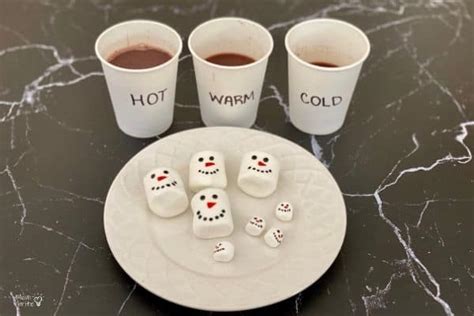 Hot Cocoa And Marshmallows Melting Snowmen Experiment Mombrite My Xxx