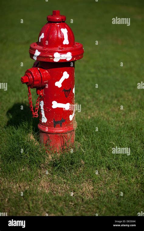 Dog Fire Hydrant Hi Res Stock Photography And Images Alamy