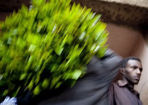 The Appalling Fate Of Yemen And Somalias Khat Addicts Revealed Daily