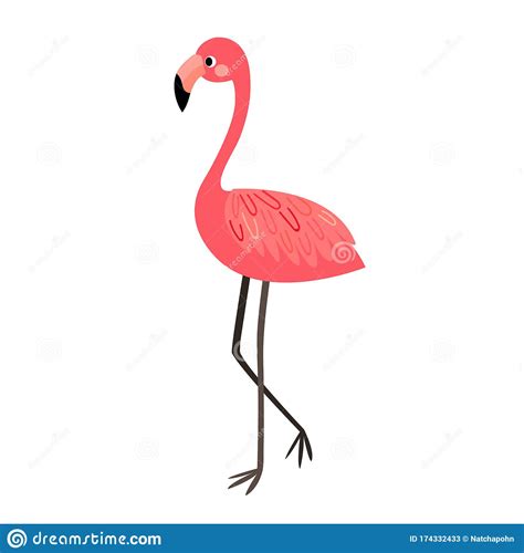 Standing Flamingo Animal Cartoon Character Vector Illustration Stock
