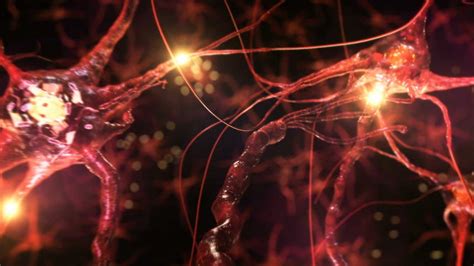 Synapse Synapse Brain Synapse And Neural Synapse Hd Wallpaper Pxfuel