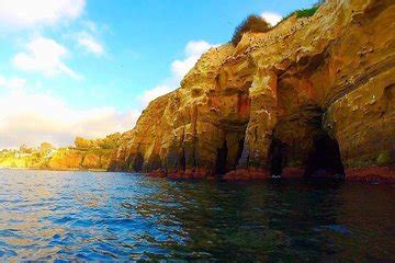 Find & book the best la jolla food & drink tours, tastings, classes and more on tripadvisor. La Jolla Sea Caves Kayak Tour 2021