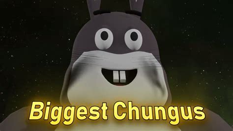 Beautiful BIGGEST CHUNGUS By Surreal Entertainment Memes I Dont Know