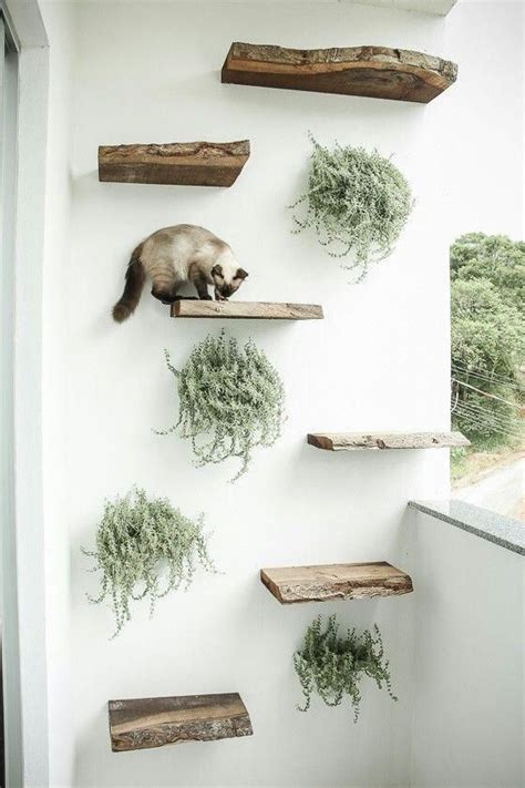 6 Climbing Walls Your Cat Will Love In 2020 Cat Playground Outdoor