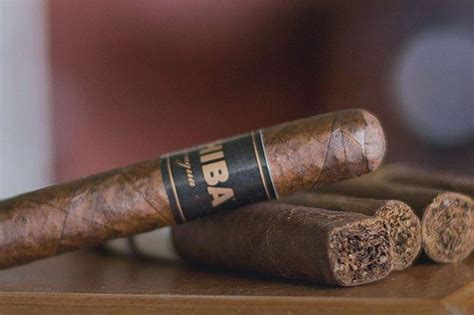 Best Cigar Of The Month Club The 1 Cigar Club With Free Shipping