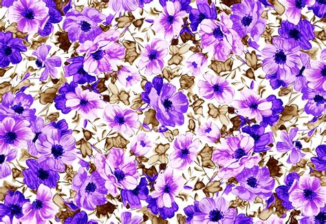 Fondo Flores Flores Pintadas Lavanda 🔥 Descargar Imagen