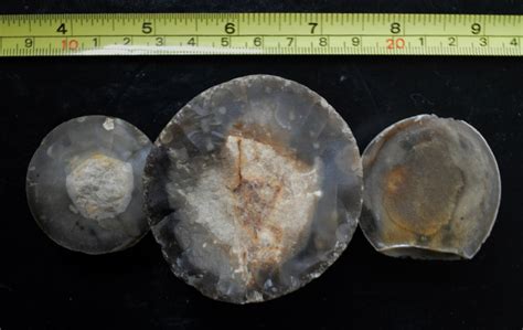 Fracture Flint Paramoudra