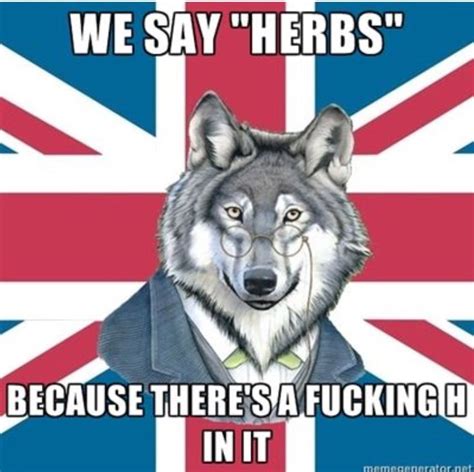 amazing quotes from mr izzard british memes british humor memes