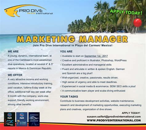 Job Advert Marketing Manager Pro Dive Mexico Pro Dive International