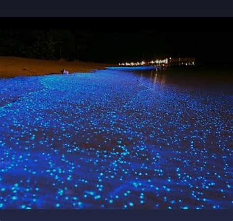 Padukere Beach In Malpe Karnataka Sparkles With Exotic Blue