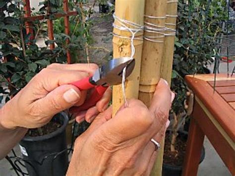 How To Make A Bamboo Trellis How Tos Diy