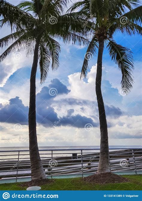Clouds Sky After Storm Tropical Beach With Palm Trees Stock Image