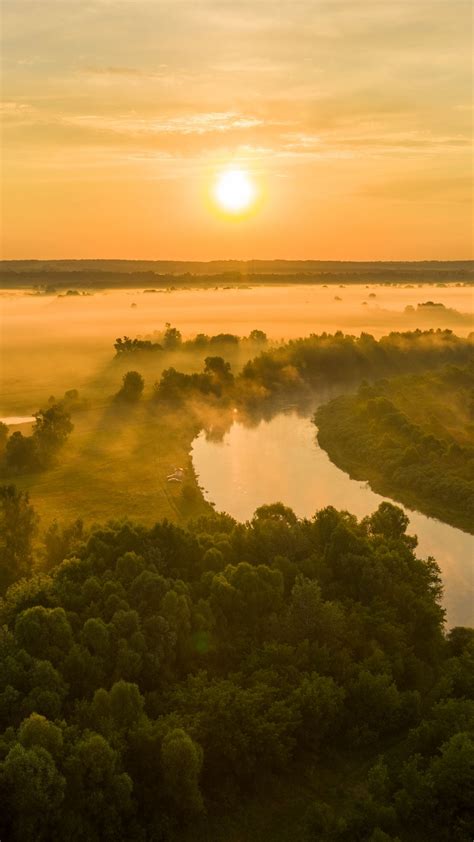 Sun Sunset River Fog Trees Hd