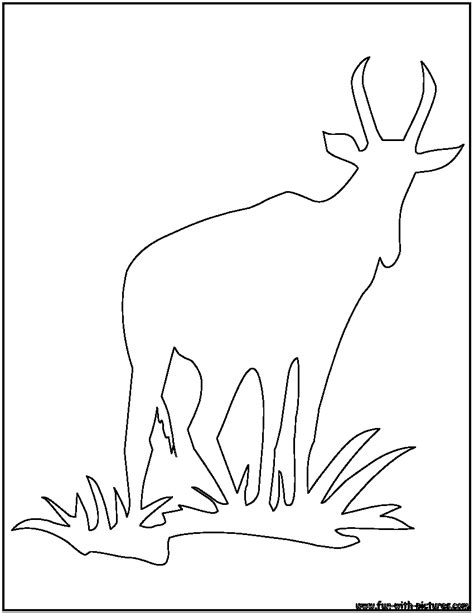African Animal Outlines Coloring Pages Free Printable Colouring Pages