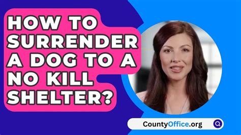 How To Surrender A Dog To A No Kill Shelter Youtube