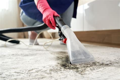 How To Clean Carpet And Get Stains Out Thorner Flooring