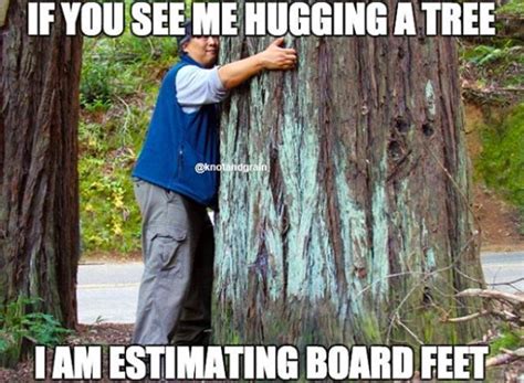 Our 10 Favorite Woodworking Memes Knot And Grain