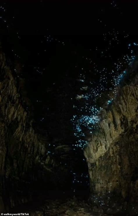 Inside The Secret Glow Worm Cave In The Nsw Blue Mountains 247 News