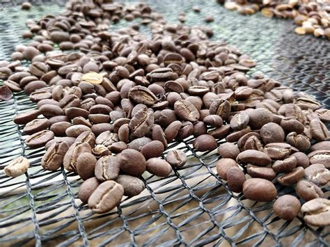 Ecuadorian Coffee Guide Flavors History And Brewing Tips Coffee Affection