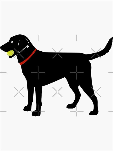 Labrador Retriever Fetch Black Lab Play Ball Sticker For Sale By