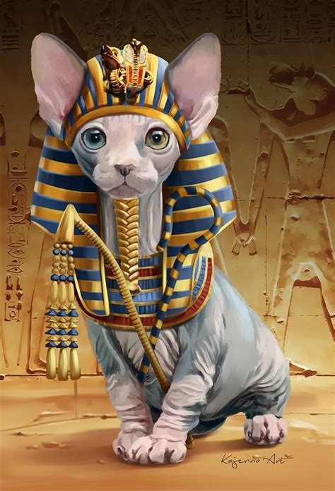 Sphynx Kitty Gatos Egipcios Gatos Ilustraciones De Gato