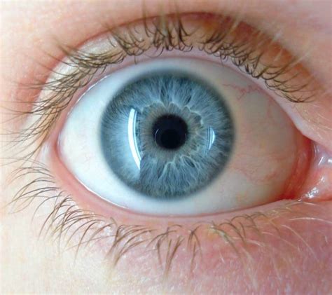 Everything You Need To Know About Retinal Disease Greenbhl