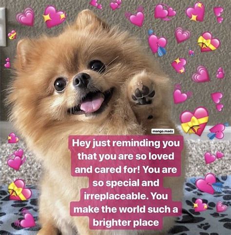 cute wholesome memes for crush ok news
