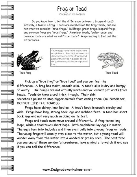 Worksheet Free Printable Short Stories With Comprehension Free