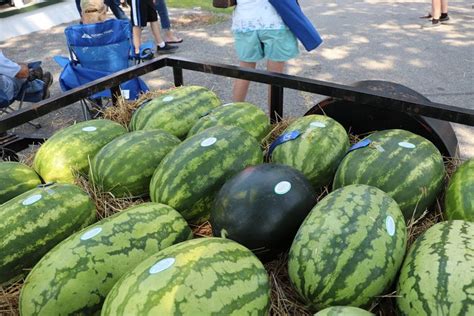 The Cave City Watermelon Festival In Arkansas Is A Summer Treat