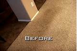Can You Buy Carpet Dye Images
