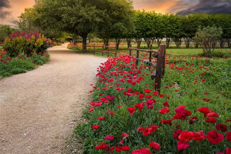 Spring In Texas Hill Country