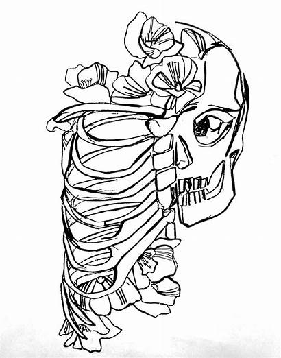 Drawing Rib Cage Ribs Heart Skeleton Clipart