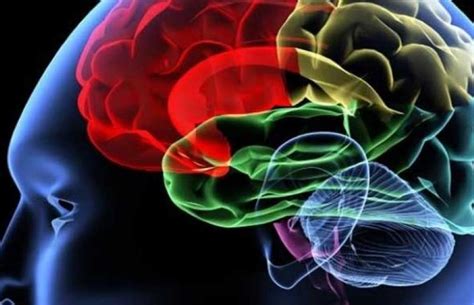 Studi Minum Teh Teratur Beri Efek Positif Pada Otak  morPOTE