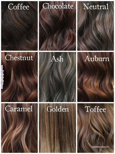 the best hair color chart with all shades of blonde brown red black