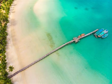 Free Photo Beautiful Aerial View Of Beach And Sea With Coconut Palm Tree