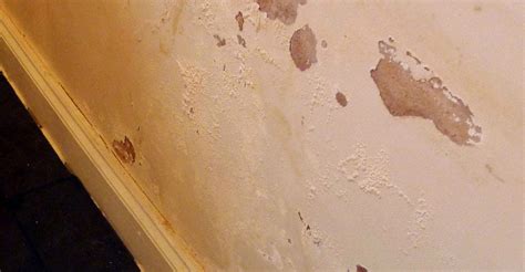 Damp Patch On Interior Walls First Signs Of A Damp Problem Damp